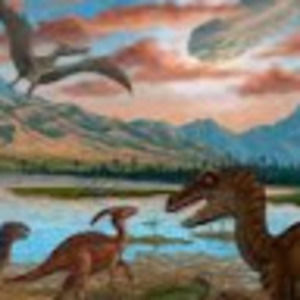 Meet your Posher, Ava